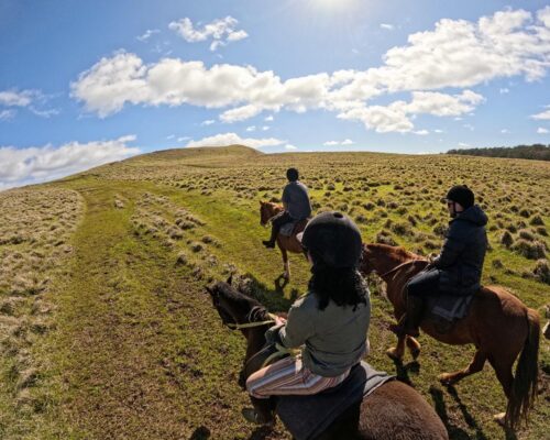 Cabalgata en Isla de Pascua